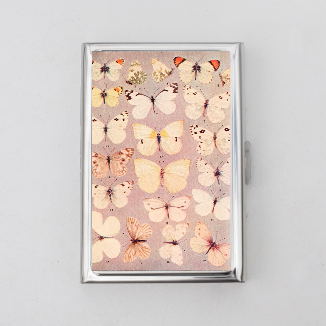 Butterfly Card Holder OR Cigarette Case