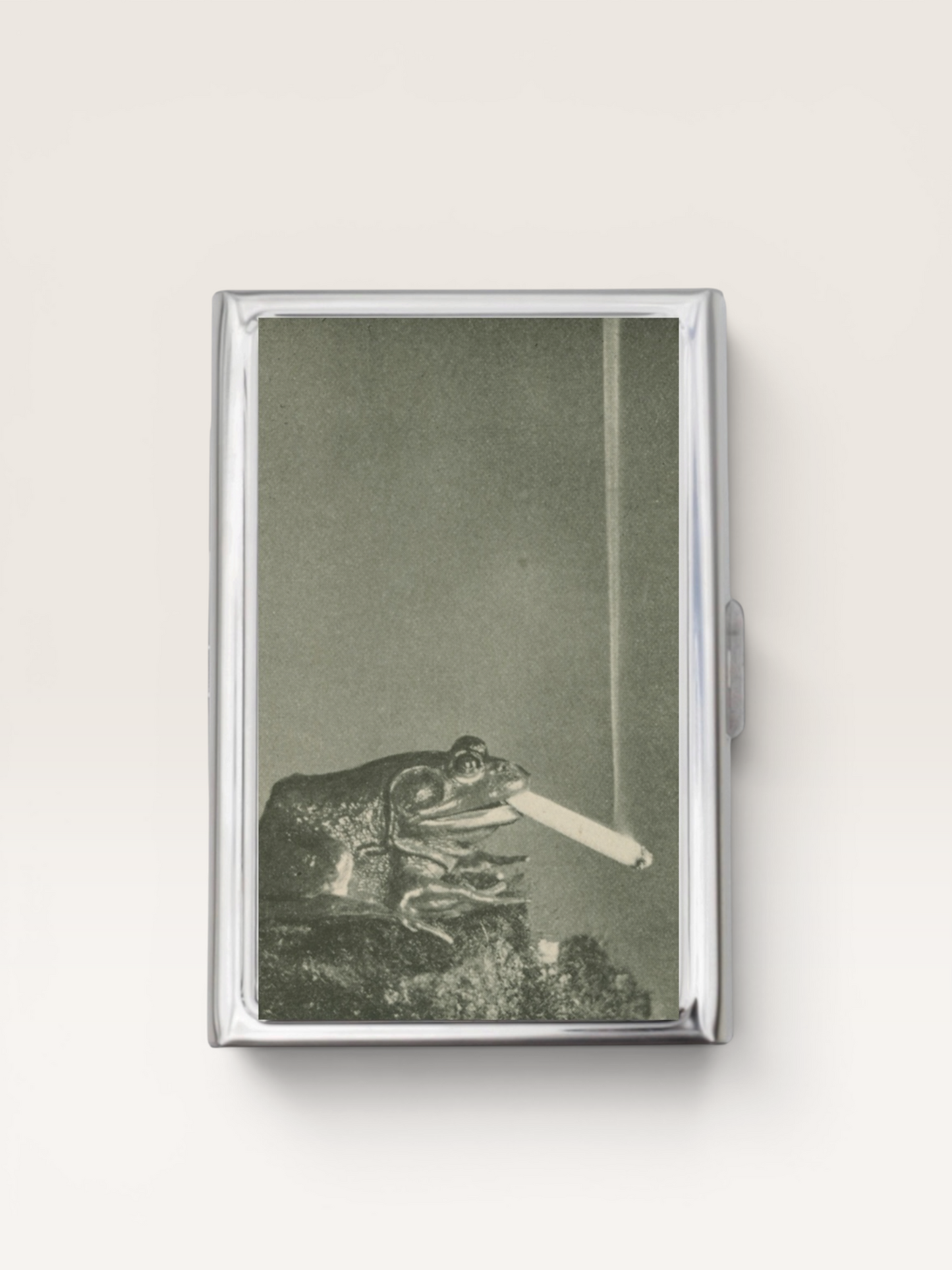 Toad Smoking Card Holder OR Cigarette Case