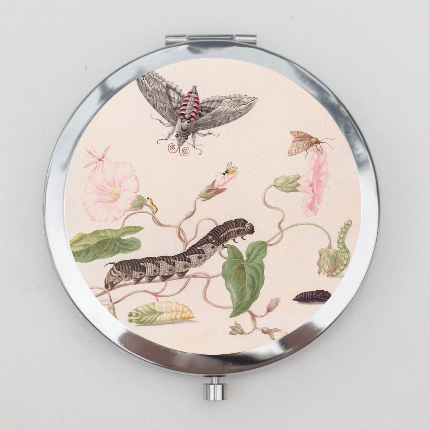 Caterpillar and Butterfly Compact Mirror OR Pill Box