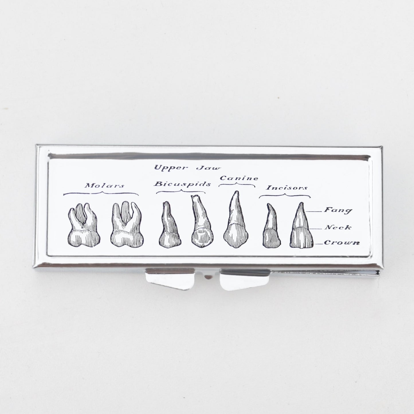 Upper Jaw Tooth Chart Rectangle Pill Box