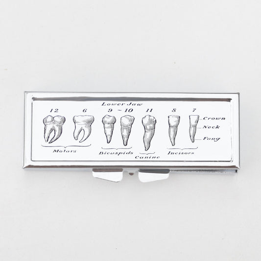 Lower Jaw Tooth Chart Rectangle Pill Box