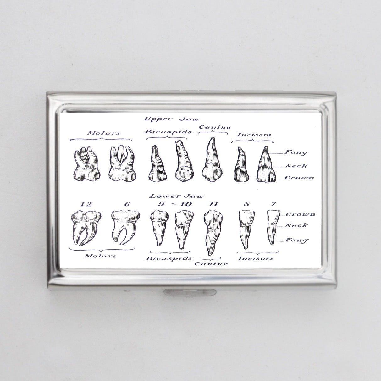 Teeth Chart Card Holder OR Cigarette Case