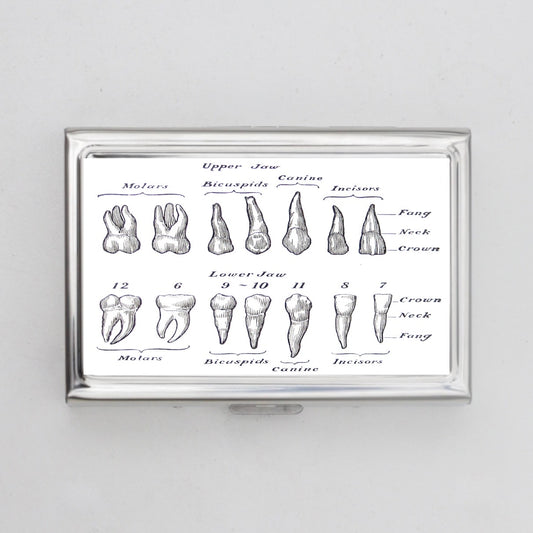 Teeth Chart Card Holder OR Cigarette Case