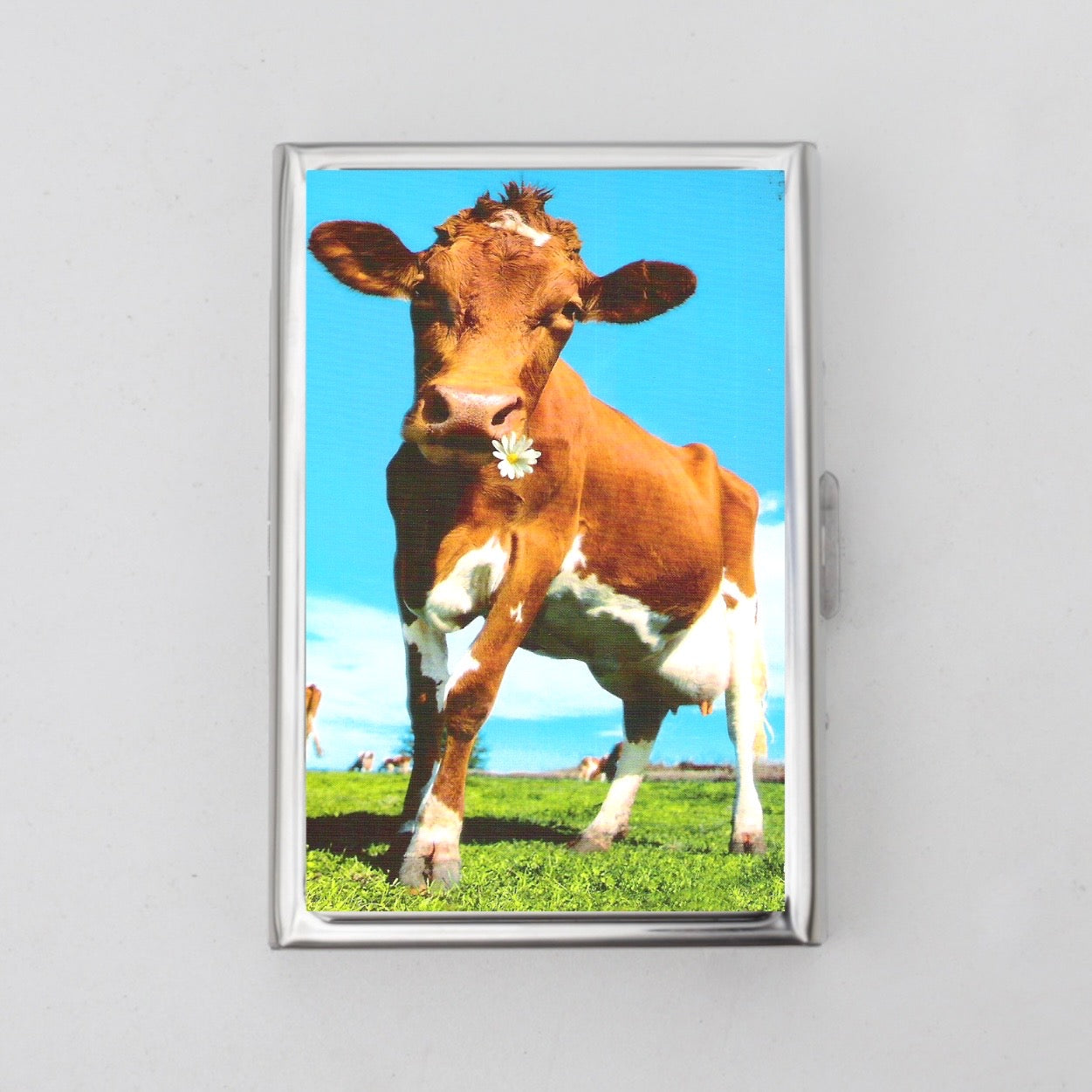 Cow Card Holder OR Cigarette Case