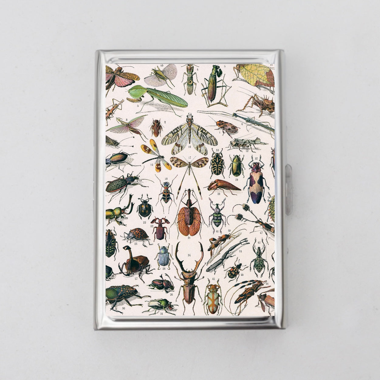 Bugs Chart Card Holder OR Cigarette Case