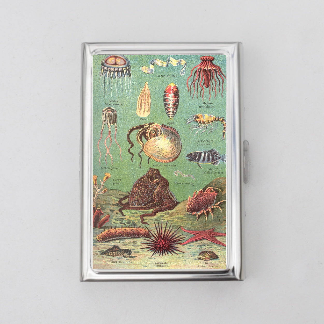 Sea Life Card Holder OR Cigarette Case