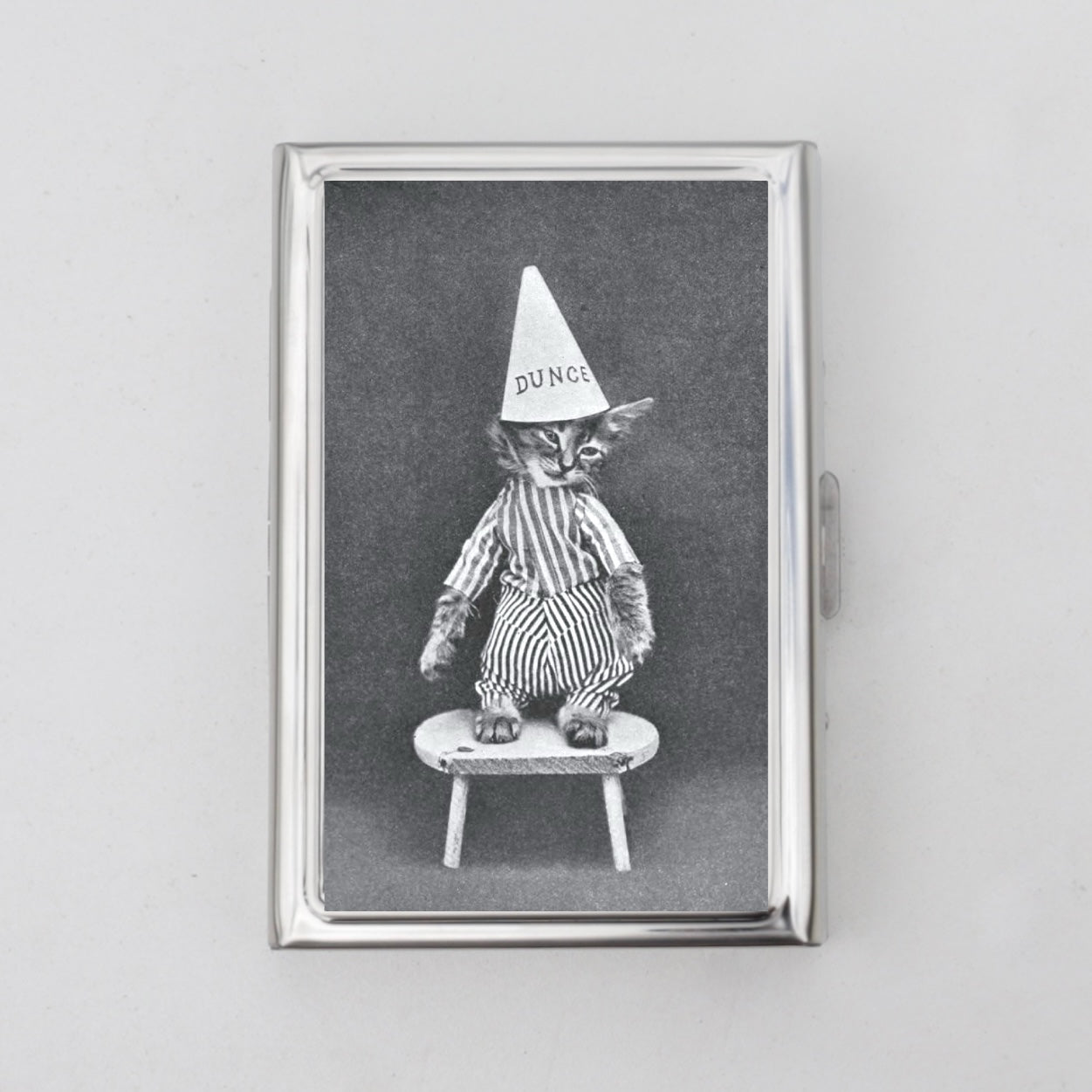 Dunce Cat Card Holder OR Cigarette Case