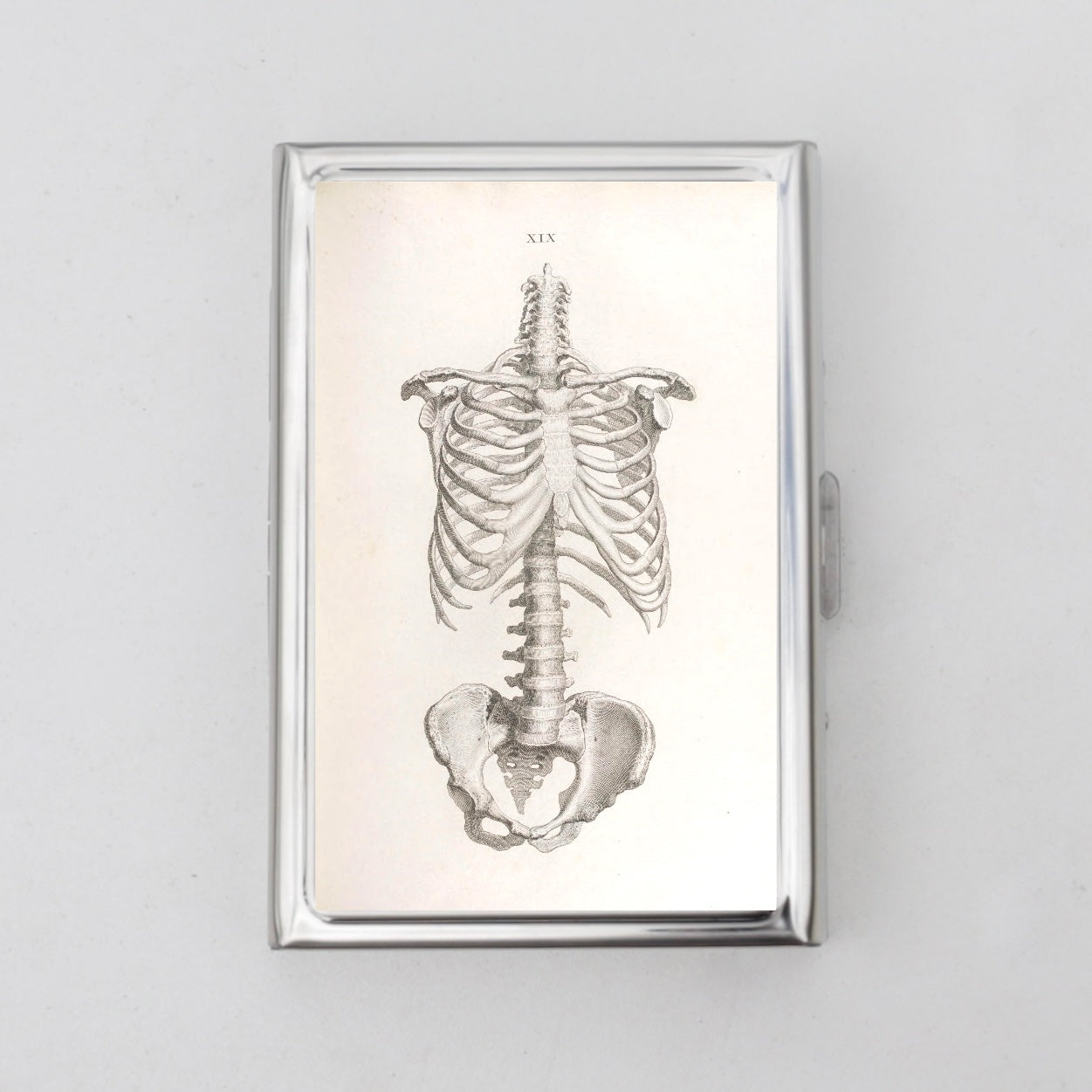 Skeleton Card Holder OR Cigarette Case