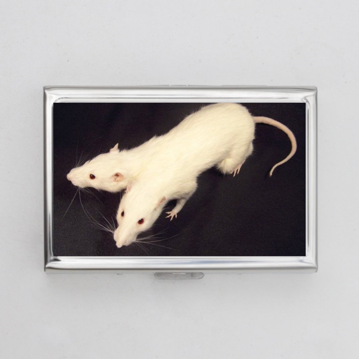 Conjoined Rat Card Holder OR Cigarette Case